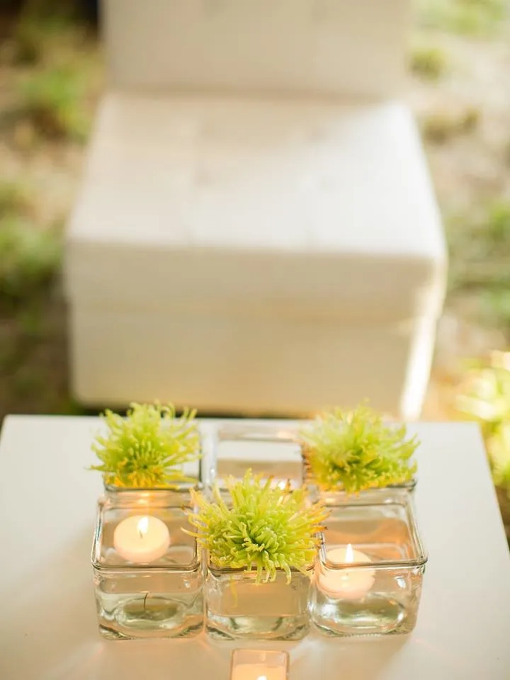 Ellebright Designs - Photo 14