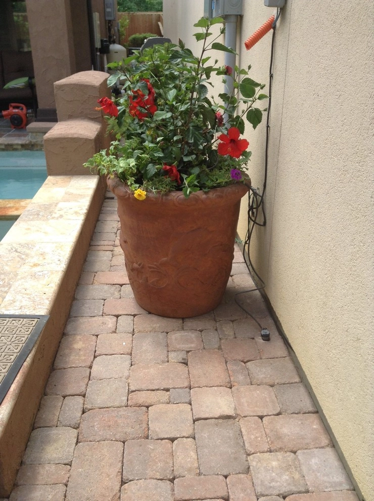 Recent Projects by Mike Ball Irrigation Landscape & Lighting - Photo 42