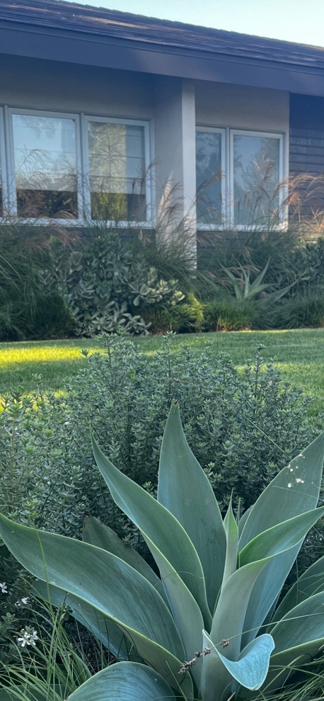 Long Beach Mid Century by Camille Beehler Landscape Design - Photo 3
