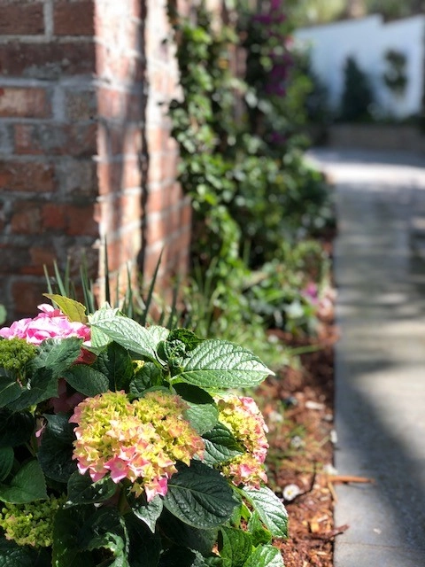Beautiful Residence - Beverly Hills by Camille Beehler Landscape Design - Photo 22