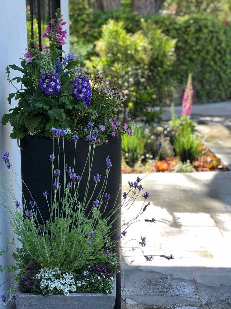 Beautiful Residence - Beverly Hills by Camille Beehler Landscape Design - Photo 30