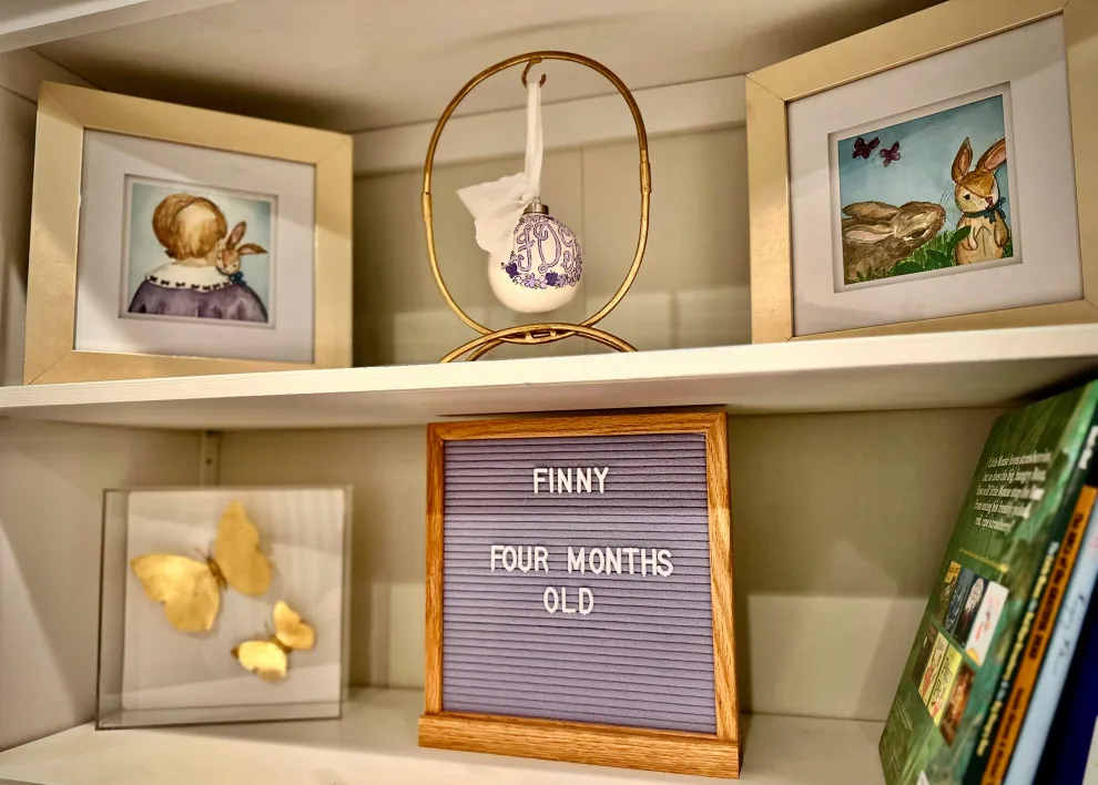 Finny's Garden by DVD Concepts - Photo 8