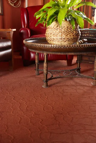 Floor Covering by Scruggs Lumber - Photo 8