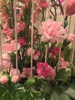 Botanical Arrangement by DS Design, Inc. - Photo 6