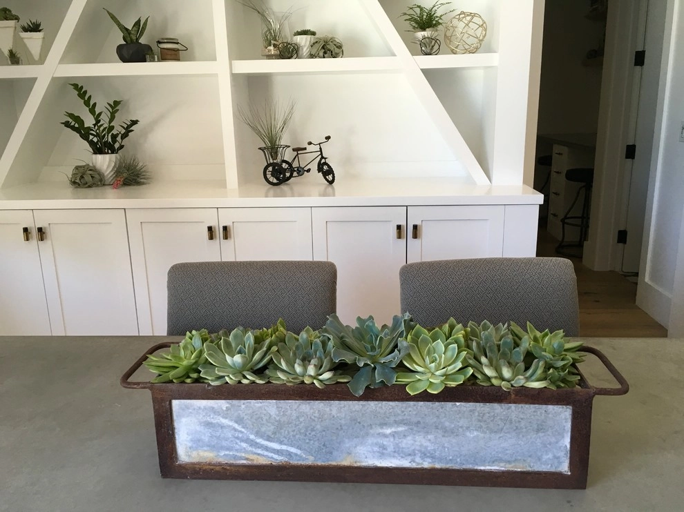 Interior Plant Scape by Camille Beehler Landscape Design - Photo 7