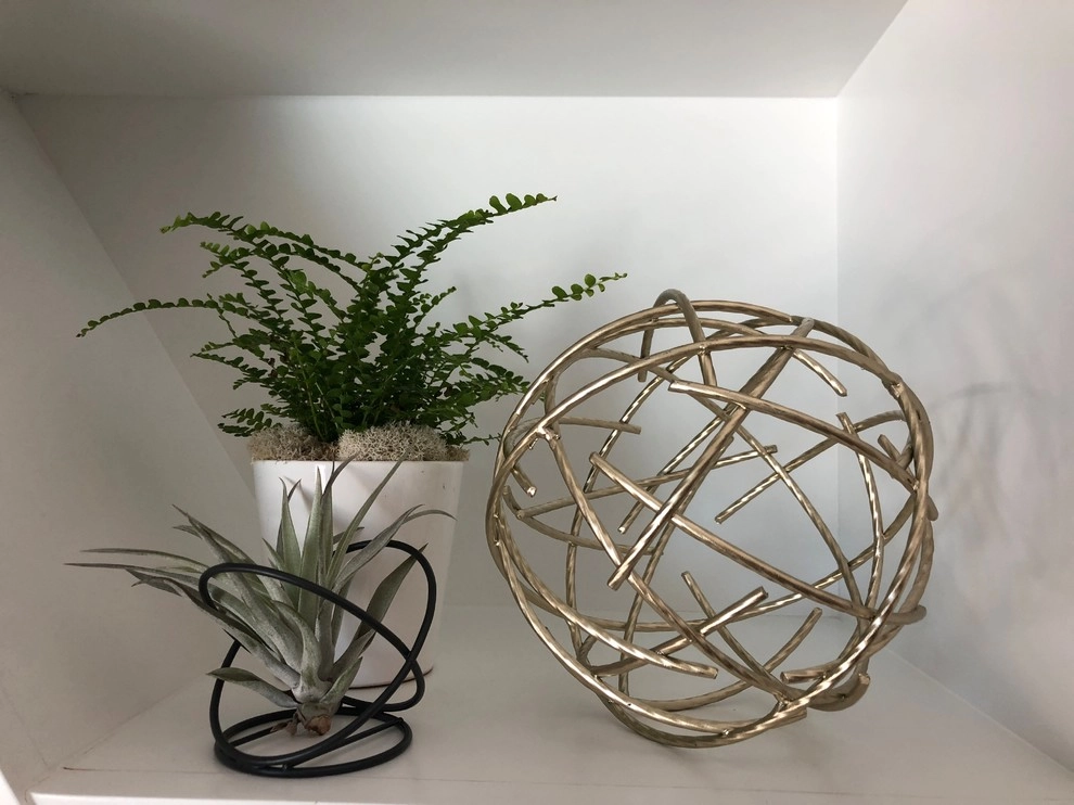 Interior Plant Scape by Camille Beehler Landscape Design - Photo 11
