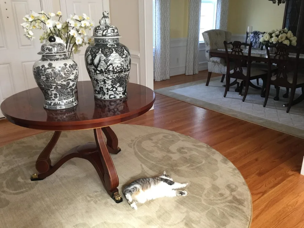 Ground Level Flow - Living and Dining Areas by Kelly Simkovich At Main Line Sound & Video - Photo 3