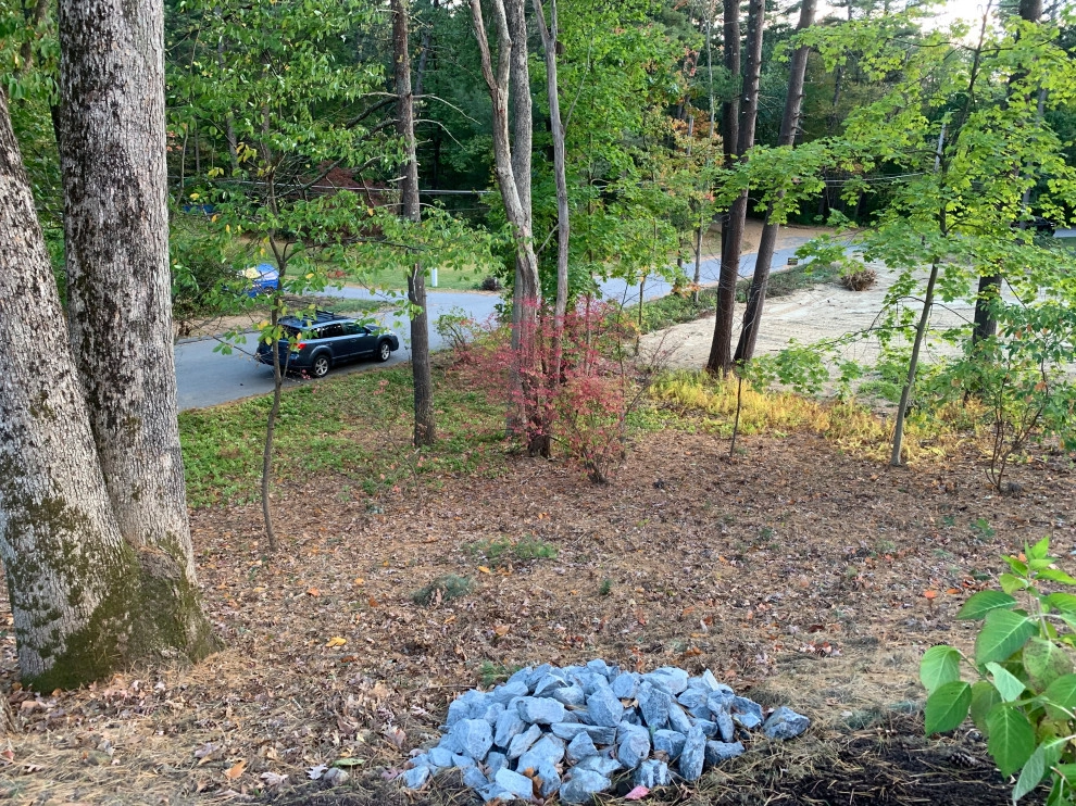 Front Yard Lawn Renovation/Planting by Millennial Landscaping, Inc. - Photo 20