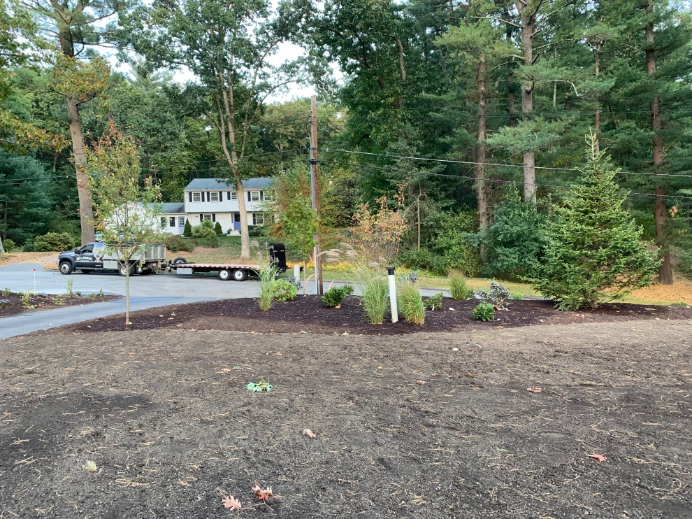 Front Yard Lawn Renovation/Planting by Millennial Landscaping, Inc. - Photo 28