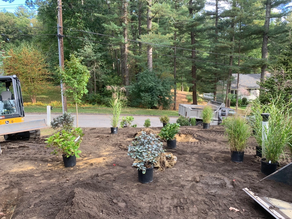 Front Yard Lawn Renovation/Planting by Millennial Landscaping, Inc. - Photo 22