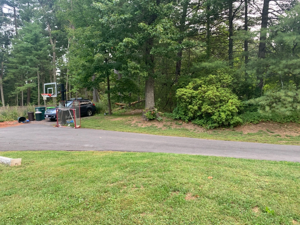 Front Yard Lawn Renovation/Planting by Millennial Landscaping, Inc. - Photo 17