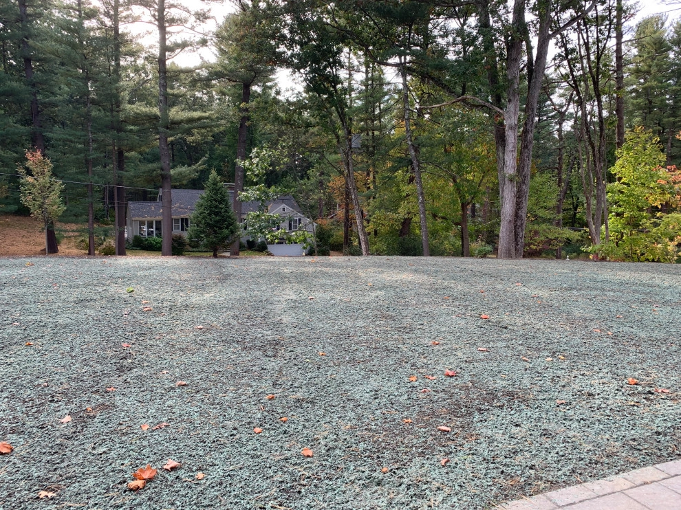 Front Yard Lawn Renovation/Planting by Millennial Landscaping, Inc. - Photo 23