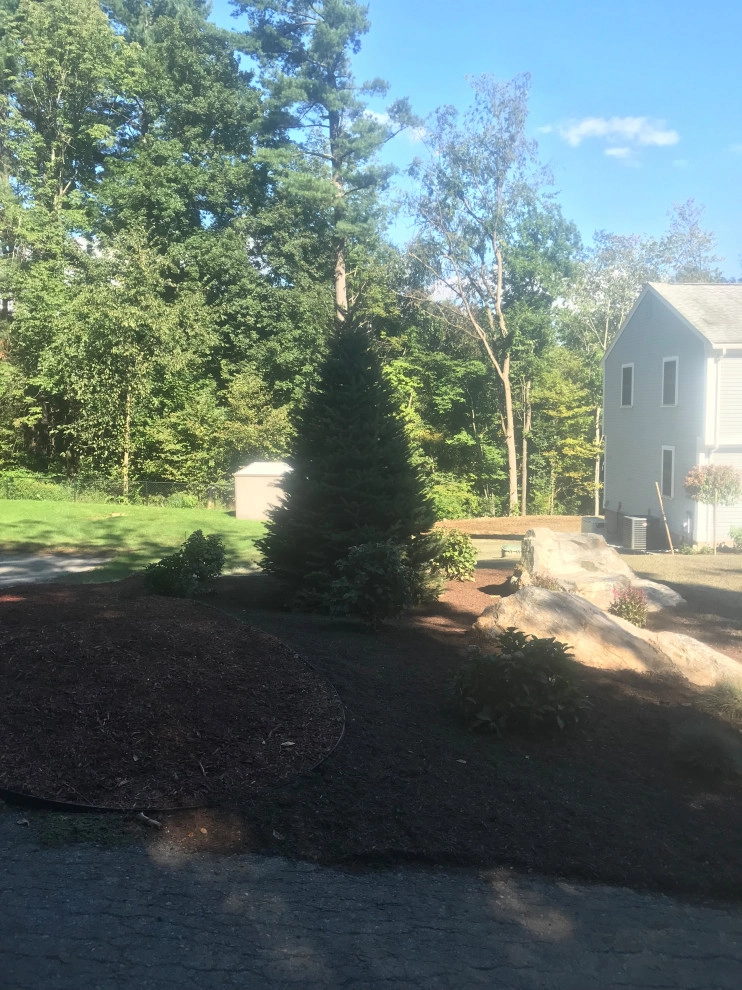 Planting by Millennial Landscaping, Inc. - Photo 2