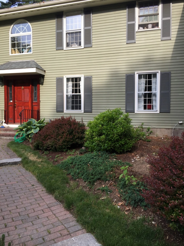 Planting by Millennial Landscaping, Inc. - Photo 6