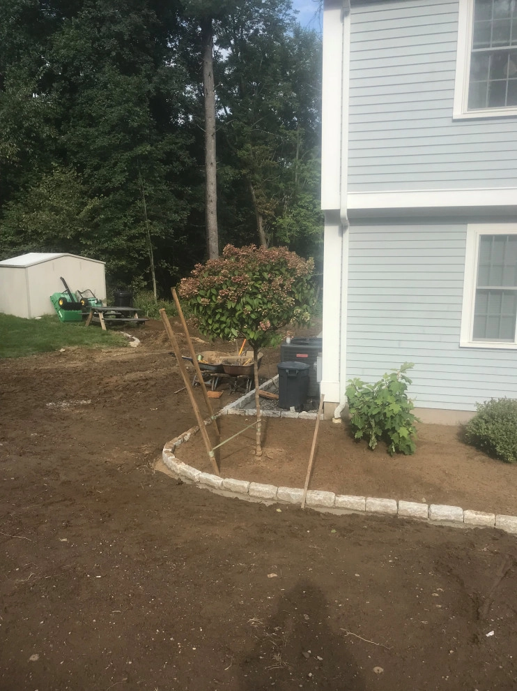 Planting by Millennial Landscaping, Inc. - Photo 20