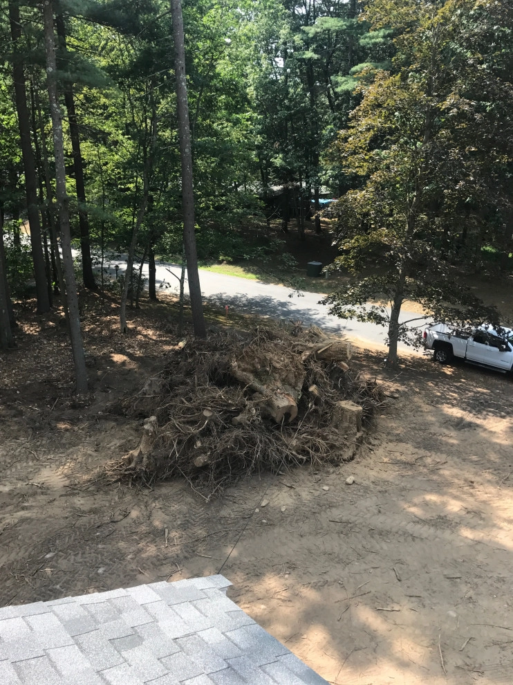 Stump Removal by Millennial Landscaping, Inc. - Photo 6