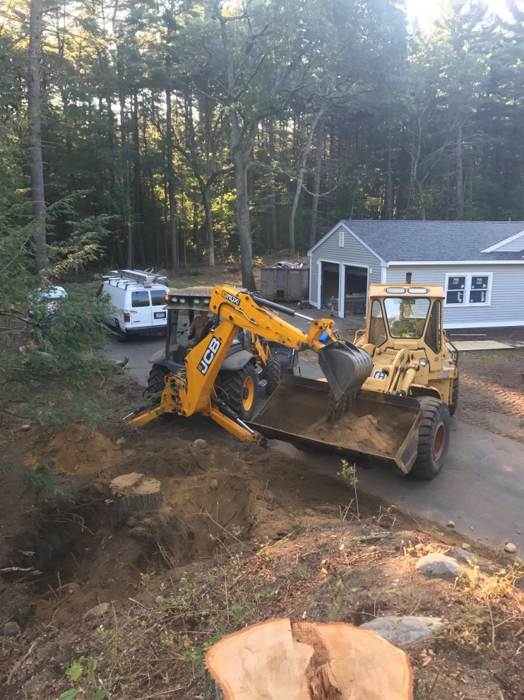 Stump Removal by Millennial Landscaping, Inc. - Photo 8