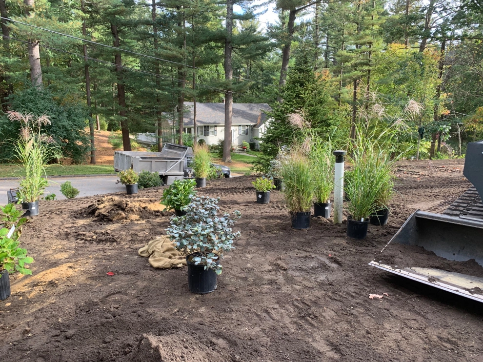 Front Yard Lawn Renovation/Planting by Millennial Landscaping, Inc. - Photo 21