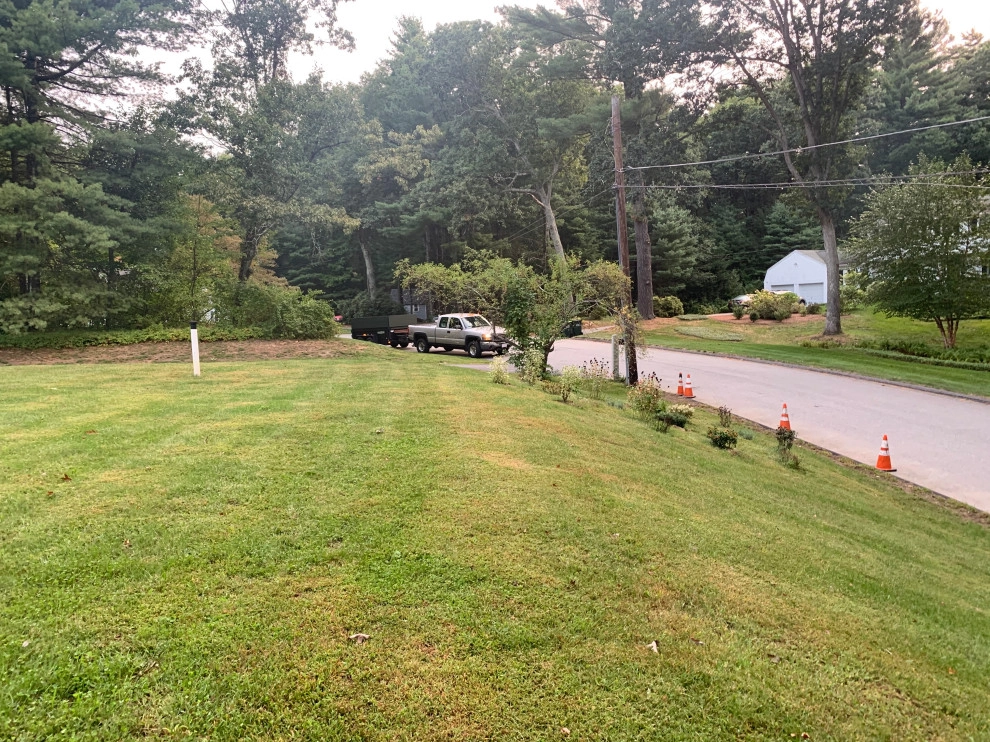 Front Yard Lawn Renovation/Planting by Millennial Landscaping, Inc. - Photo 26