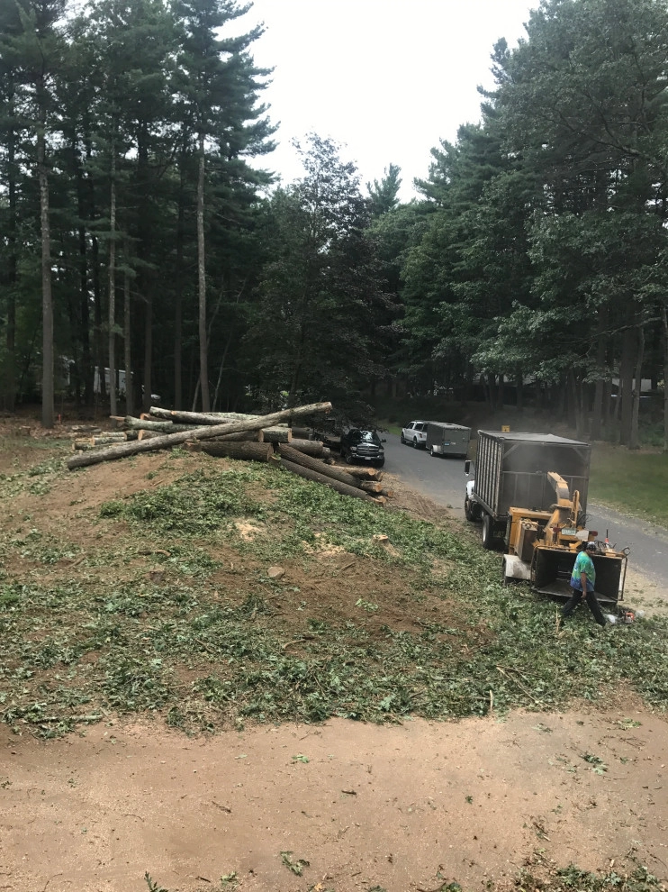 Land Clearing by Millennial Landscaping, Inc. - Photo 7