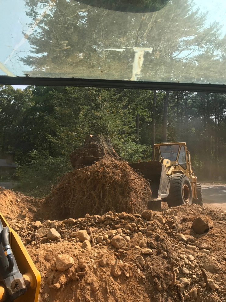 Land Clearing by Millennial Landscaping, Inc. - Photo 6