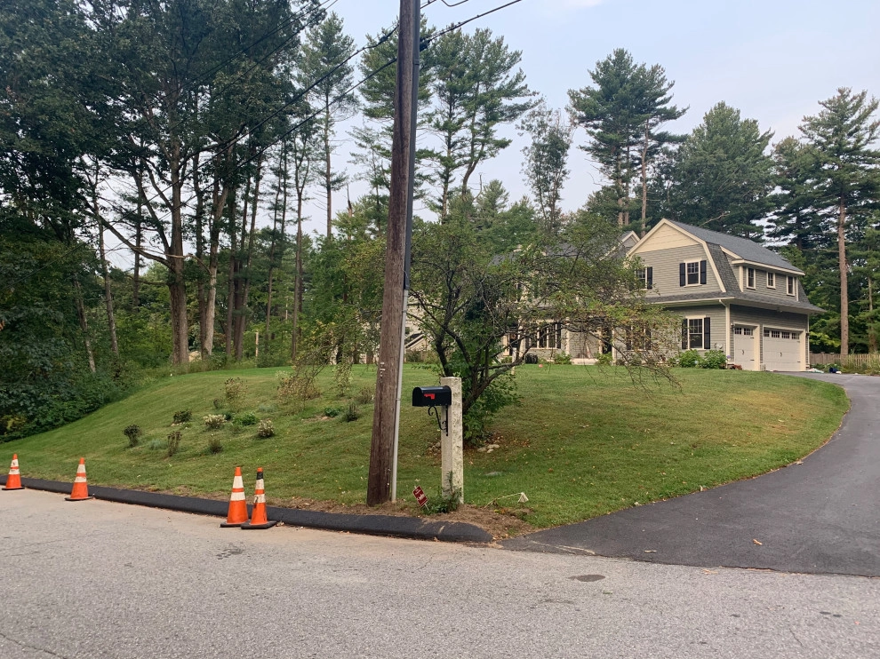 Front Yard Lawn Renovation/Planting by Millennial Landscaping, Inc. - Photo 3