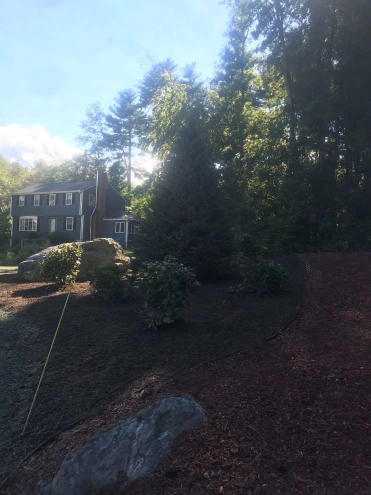 Planting by Millennial Landscaping, Inc. - Photo 8