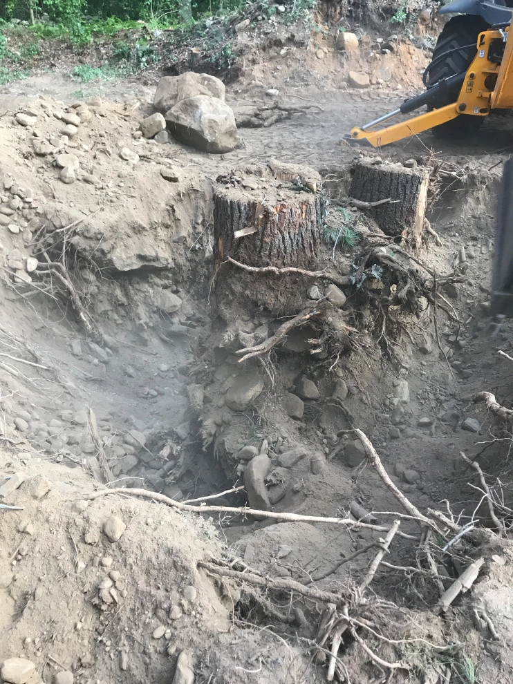 Stump Removal by Millennial Landscaping, Inc. - Photo 7