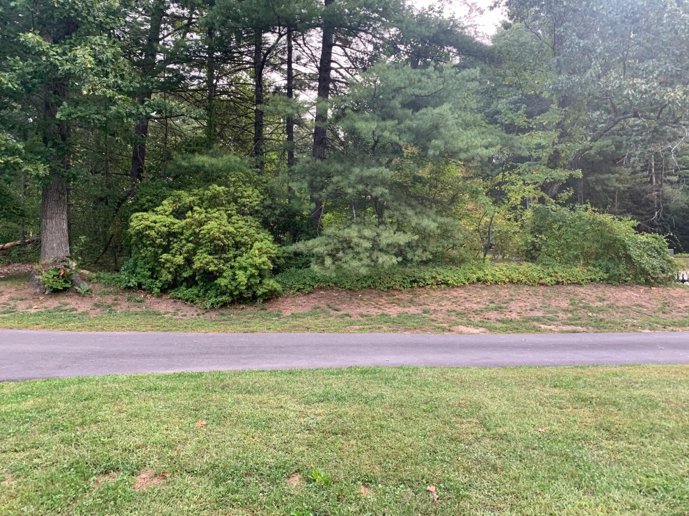 Front Yard Lawn Renovation/Planting by Millennial Landscaping, Inc. - Photo 12