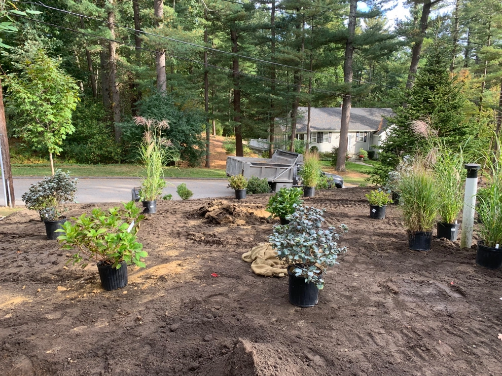 Front Yard Lawn Renovation/Planting by Millennial Landscaping, Inc. - Photo 24