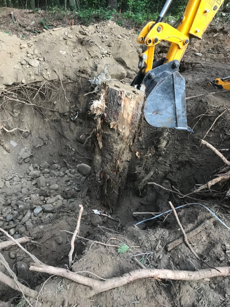 Stump Removal by Millennial Landscaping, Inc. - Photo 5