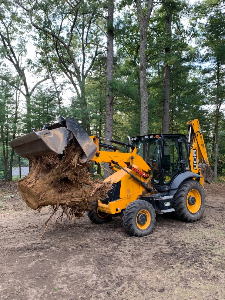 Stump Removal by Millennial Landscaping, Inc. - Photo 4