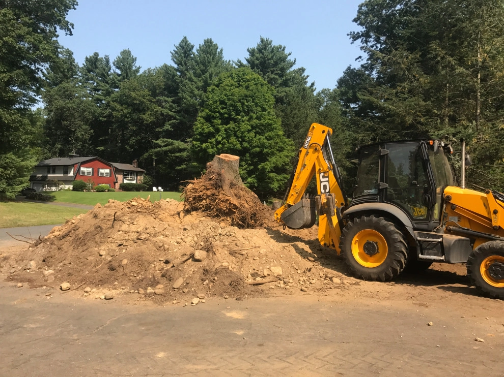 Stump Removal by Millennial Landscaping, Inc. - Photo 3