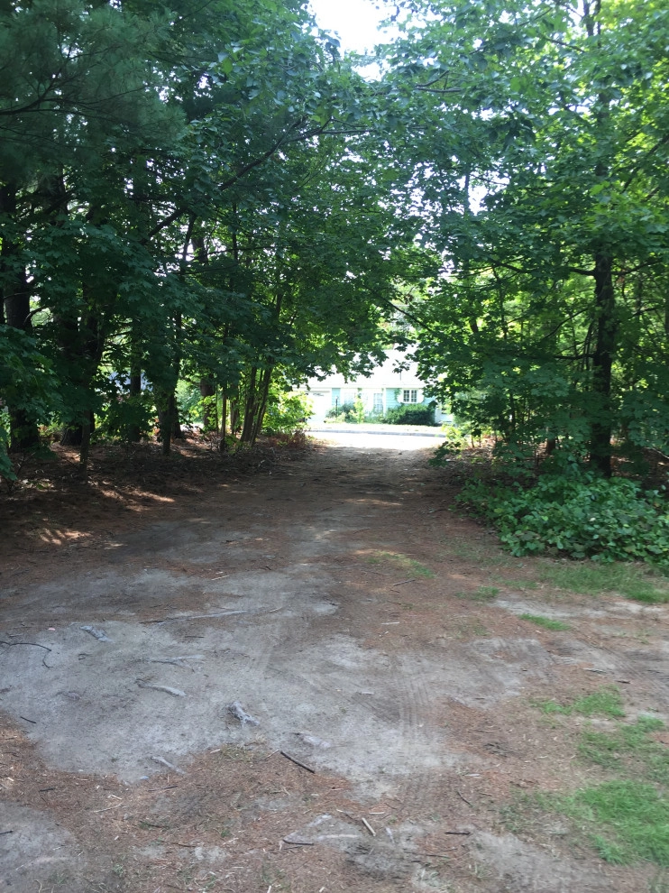Land Clearing by Millennial Landscaping, Inc. - Photo 5
