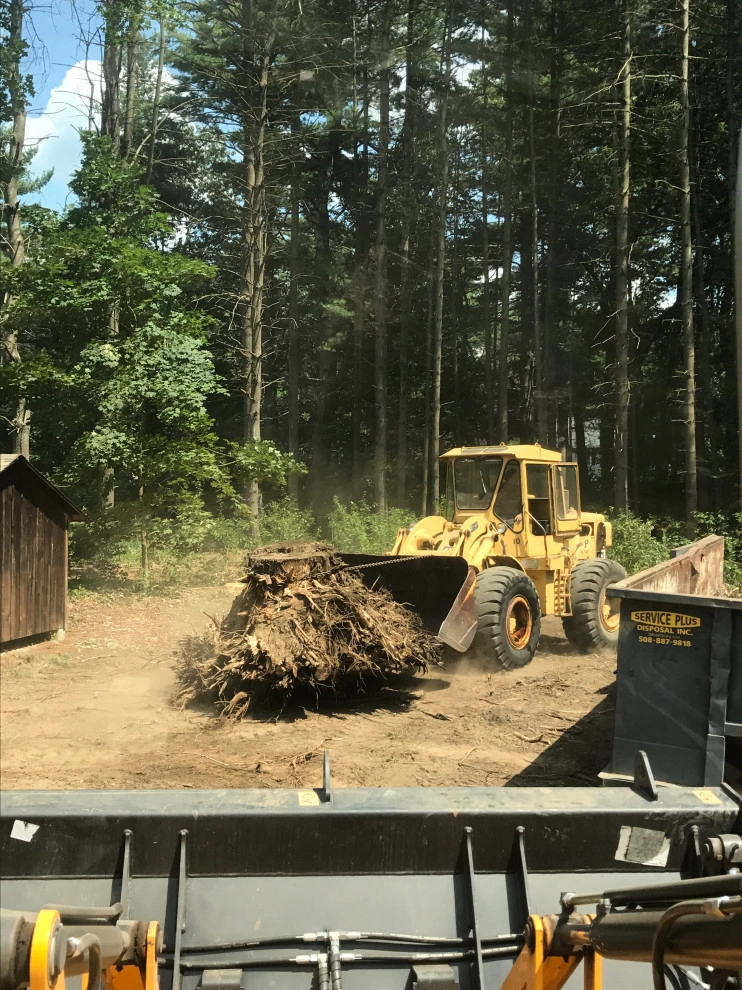 Stump Removal by Millennial Landscaping, Inc. - Photo 2