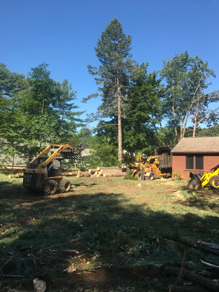 Land Clearing by Millennial Landscaping, Inc. - Photo 9