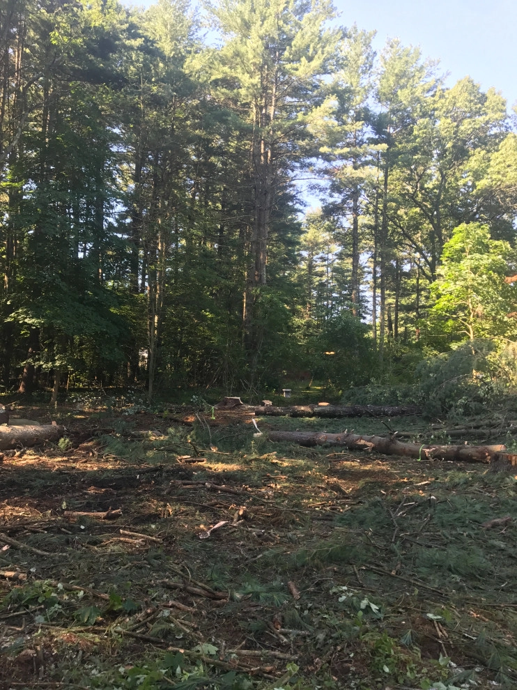 Land Clearing by Millennial Landscaping, Inc. - Photo 3