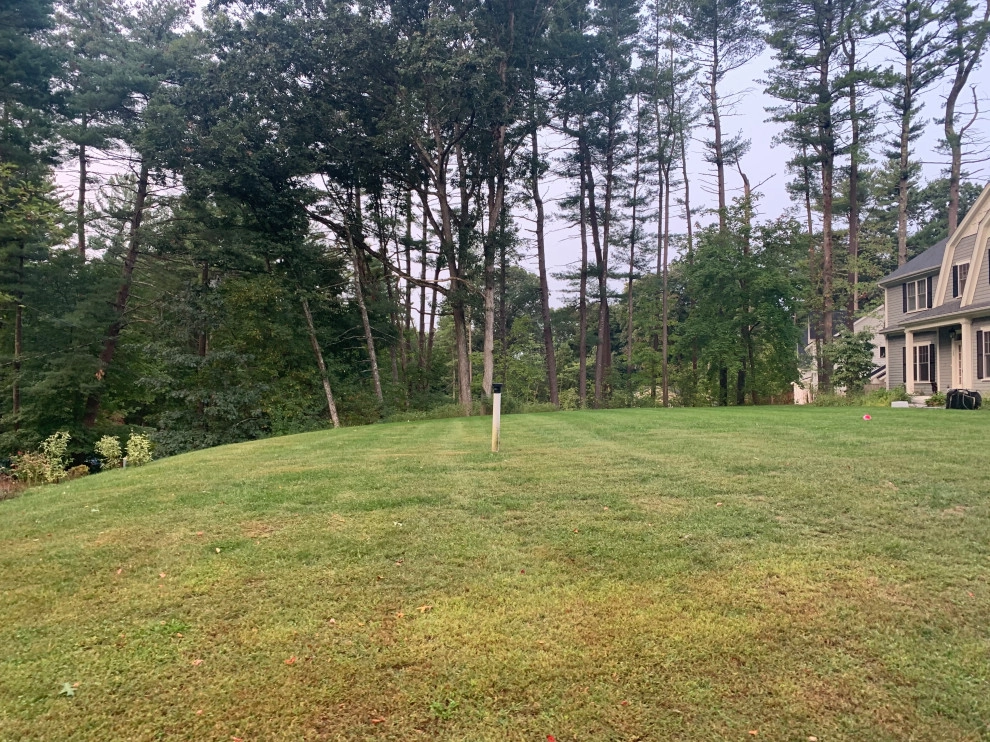 Front Yard Lawn Renovation/Planting by Millennial Landscaping, Inc. - Photo 16