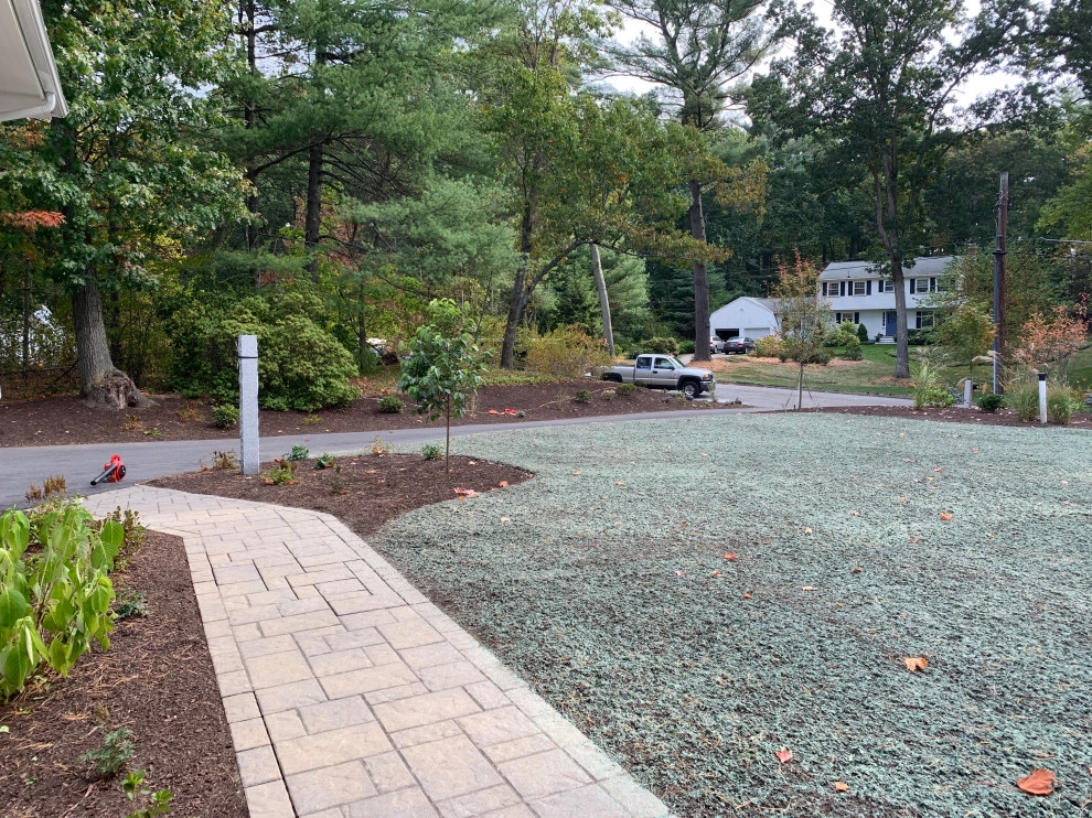 Front Yard Lawn Renovation/Planting by Millennial Landscaping, Inc. - Photo 14