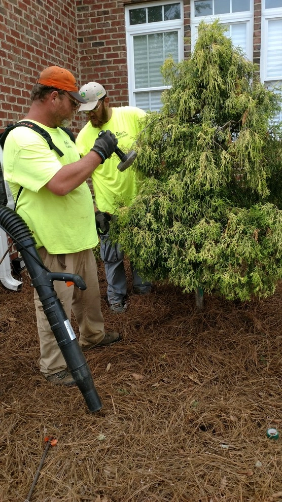 Landscaping Dunn NC by Miller's Lawn & Landscaping - Photo 8