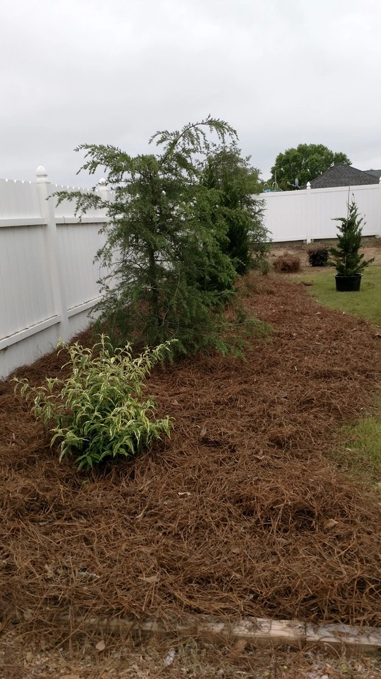 Landscaping Dunn NC by Miller's Lawn & Landscaping - Photo 11