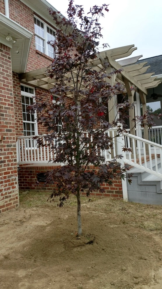 Landscaping Dunn NC by Miller's Lawn & Landscaping - Photo 5