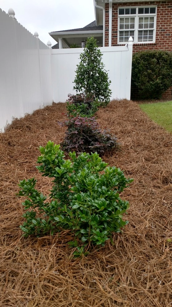 Landscaping Dunn NC by Miller's Lawn & Landscaping - Photo 6