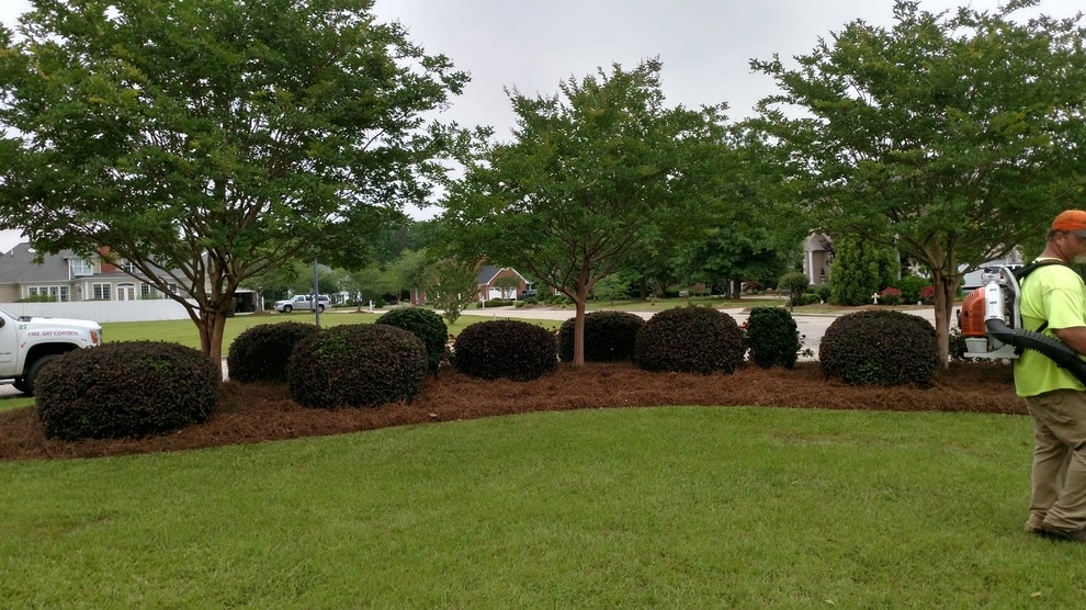 Landscaping Dunn NC by Miller's Lawn & Landscaping - Photo 15