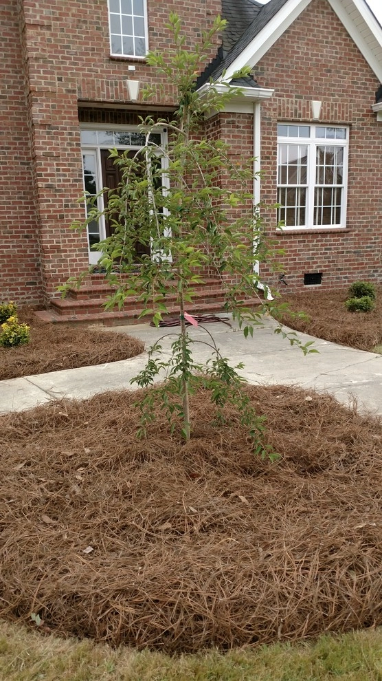 Landscaping Dunn NC by Miller's Lawn & Landscaping - Photo 19