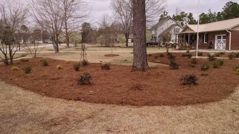 Landscaping, Lighting, Walkway - Cumberland Cty by Miller's Lawn & Landscaping - Photo 3