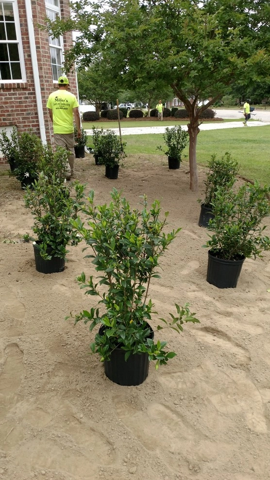 Landscaping Dunn NC by Miller's Lawn & Landscaping - Photo 3