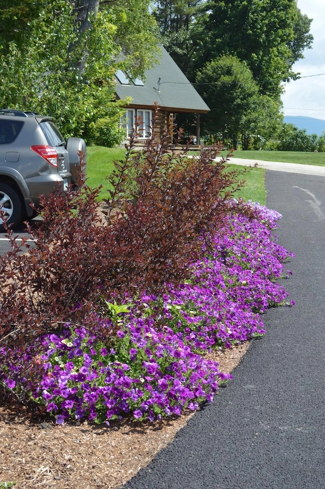 Annual Color- Containers by Miracle Farms Landscape Contractors - Photo 8