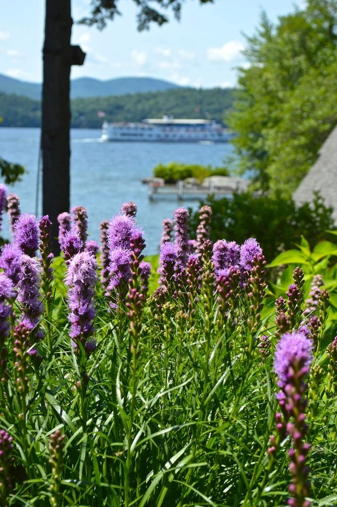 Perennial Color by Miracle Farms Landscape Contractors - Photo 11