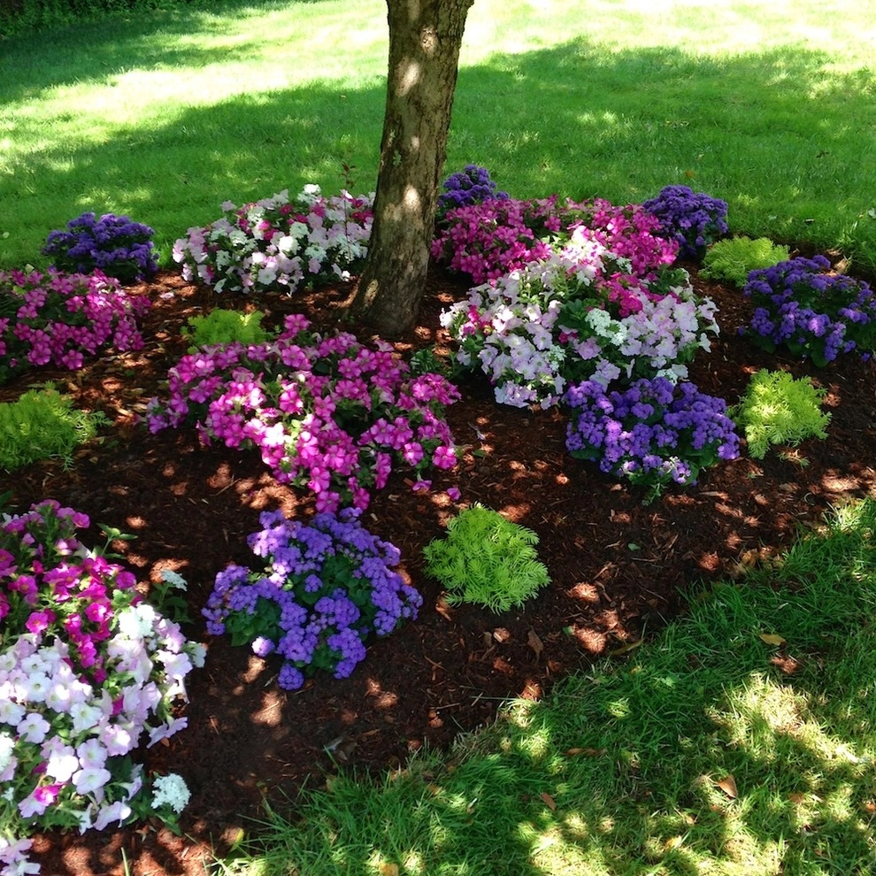 Annual Color- Containers by Miracle Farms Landscape Contractors - Photo 2